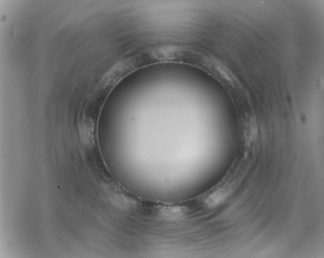 X0000073710332200608031246