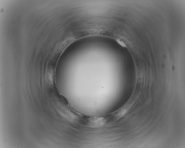 X0000073710334200608031246