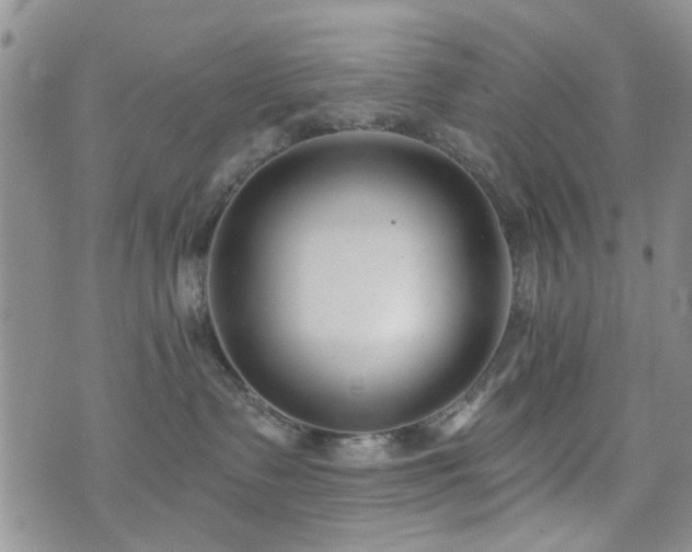 X0000073710335200608031246