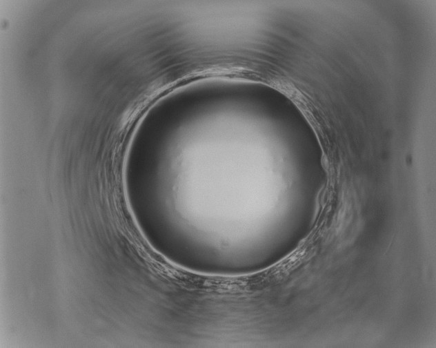 X0000073710337200608031245