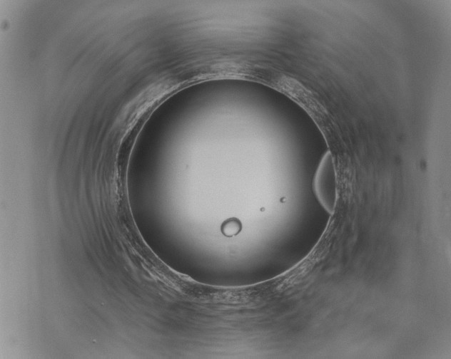 X0000073710338200608031245