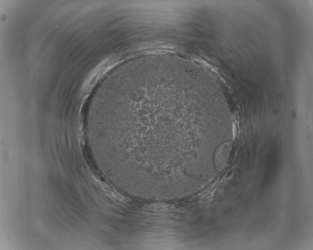 X0000073710339200608031245