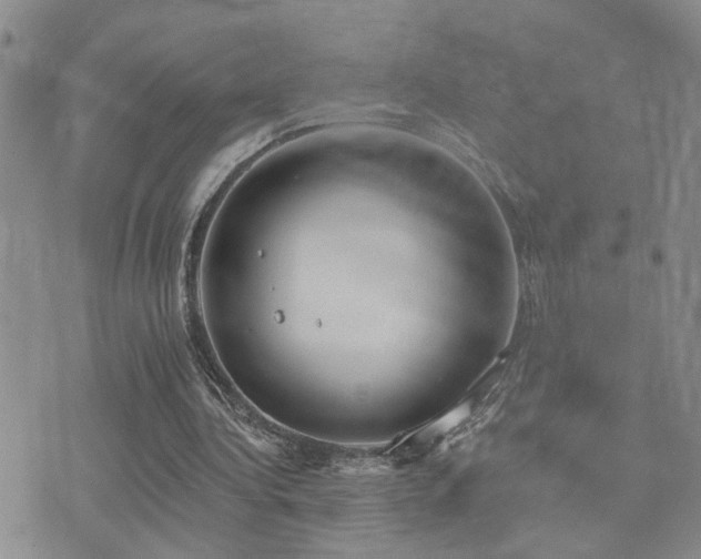 X0000073710340200608031245