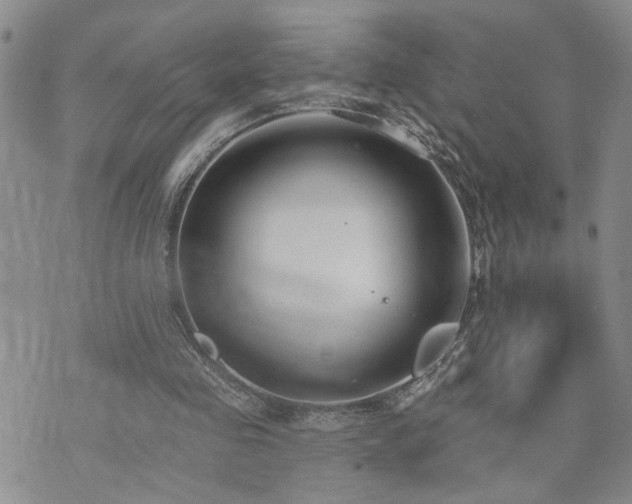 X0000073710341200608031245