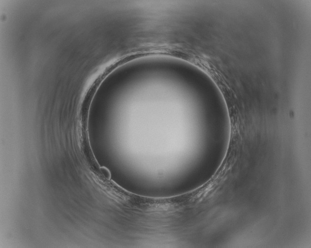 X0000073710342200608031245