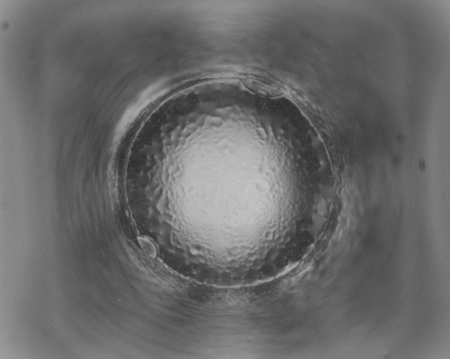 X0000073710343200608031245