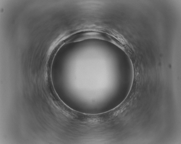 X0000073710344200608031245