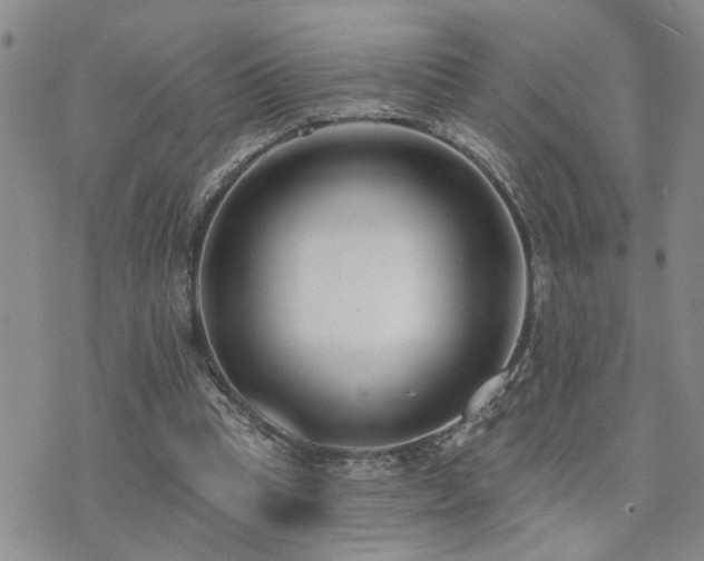 X0000073710345200608031245