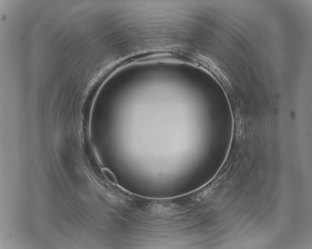 X0000073710346200608031245