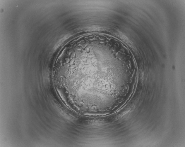 X0000073710347200608031245