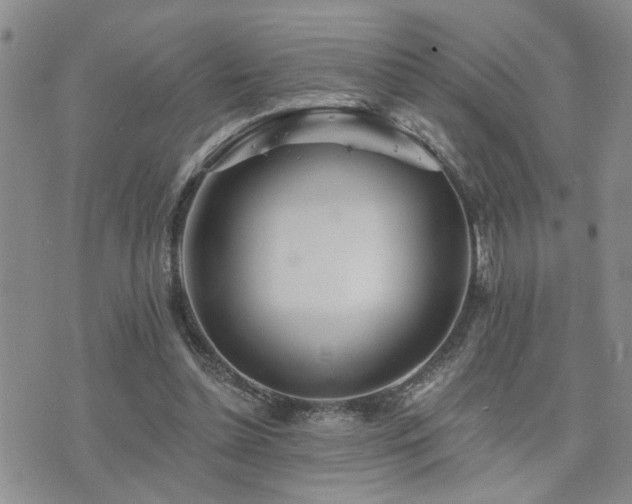 X0000073710348200608031245