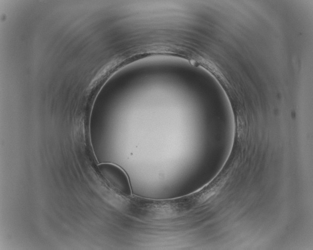 X0000073710349200608031245