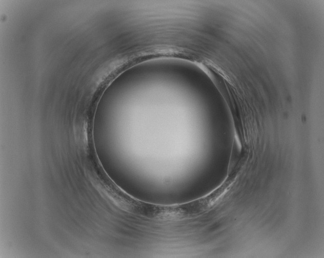 X0000073710350200608031245