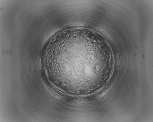 X0000073710351200608031245