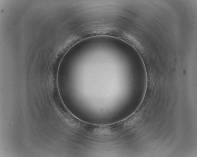 X0000073710354200608031245