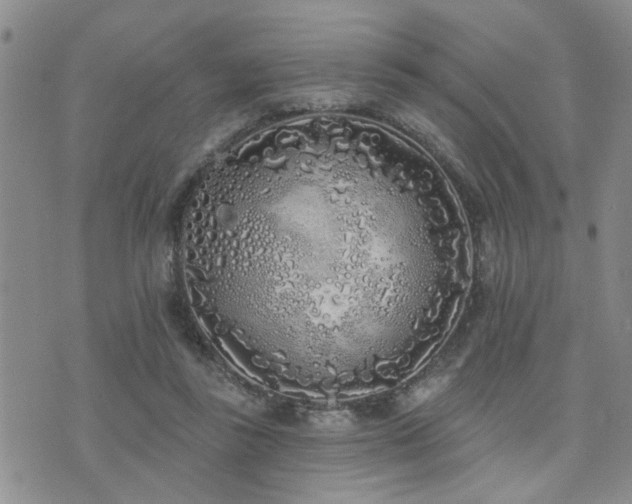 X0000073710355200608031245