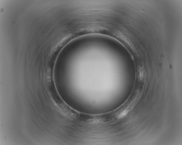 X0000073710356200608031245