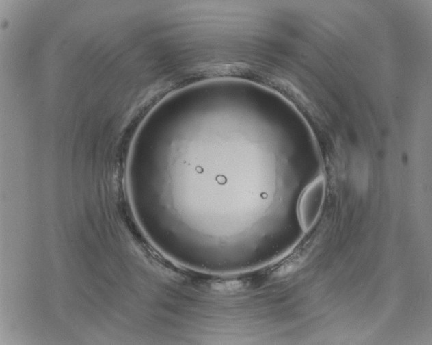 X0000073710357200608031245