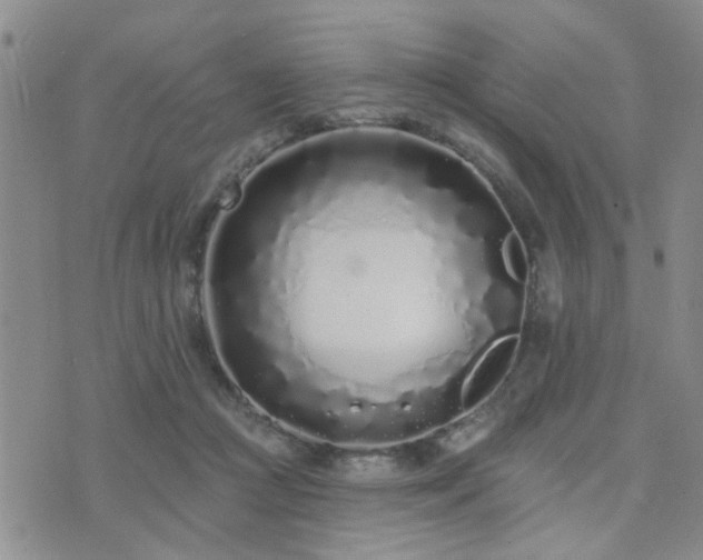 X0000073710361200608031245