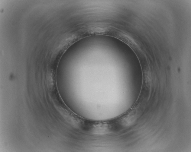 X0000073710362200608031245