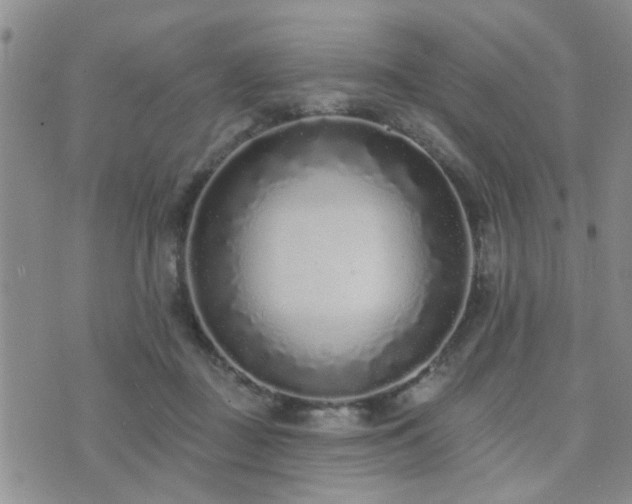 X0000073710363200608031245