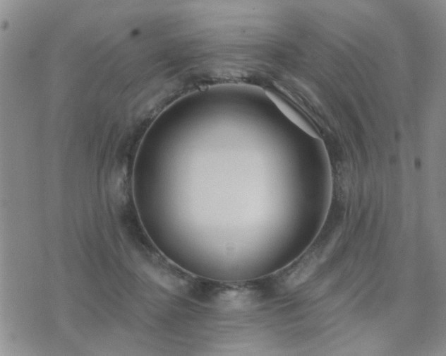 X0000073710364200608031245