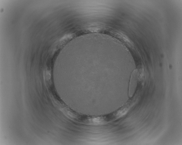 X0000073710365200608031245