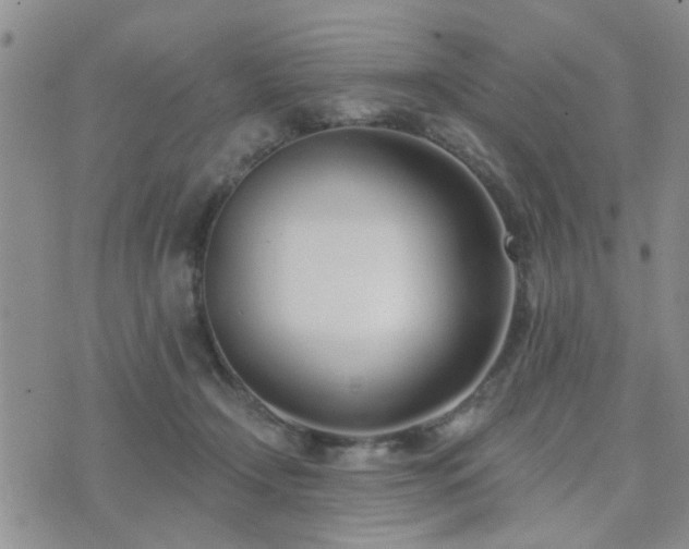 X0000073710366200608031245