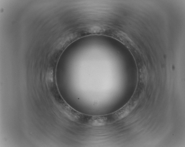 X0000073710368200608031245