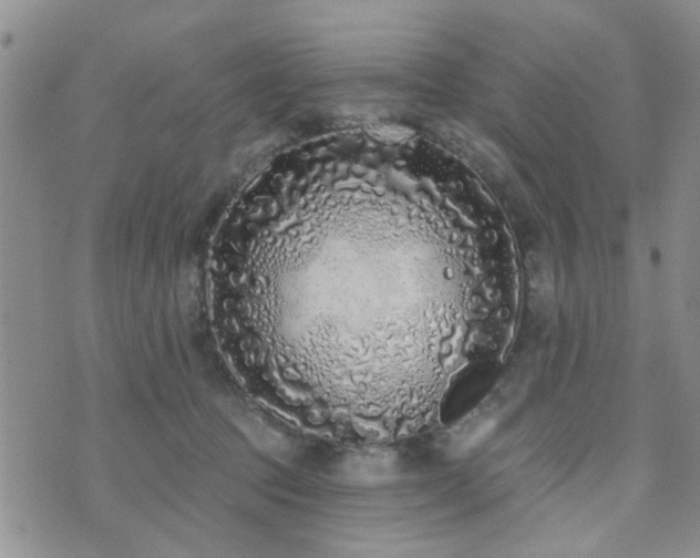 X0000073710369200608031245