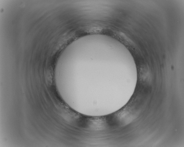 X0000073710370200608031245