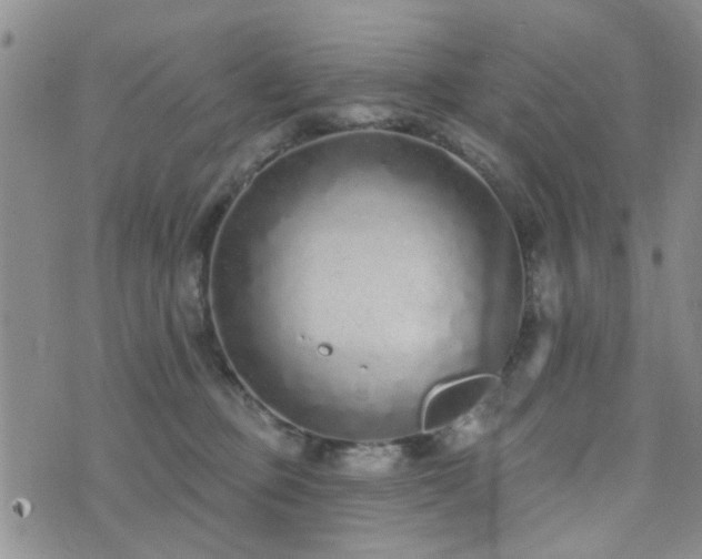 X0000073710373200608031245