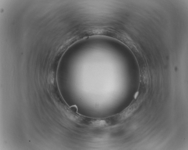 X0000073710374200608031245