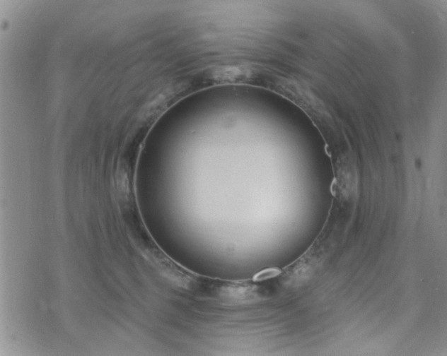 X0000073710375200608031245