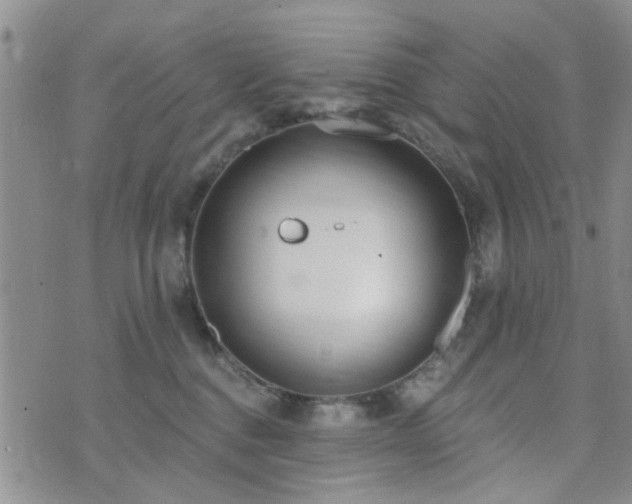 X0000073710376200608031245