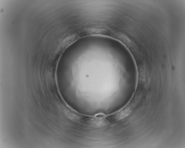 X0000073710377200608031246