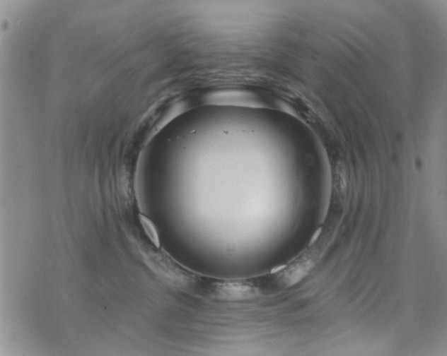 X0000073710380200608031246