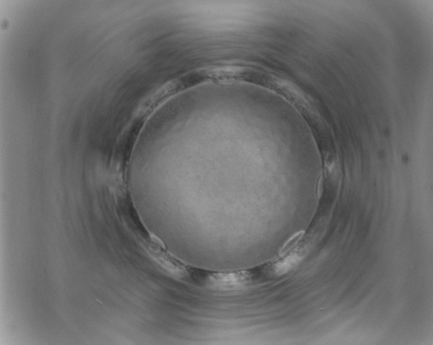 X0000073710381200608031246