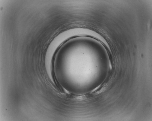 X0000073710382200608031246