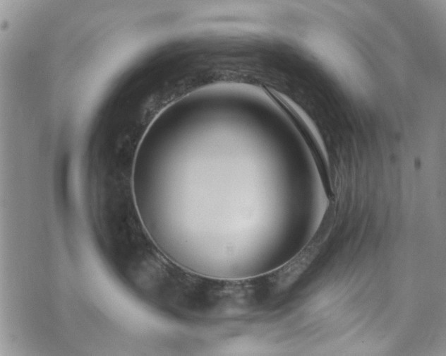 X0000073710383200608031246