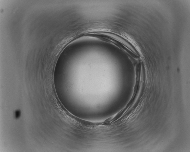 X0000073710385200608031245