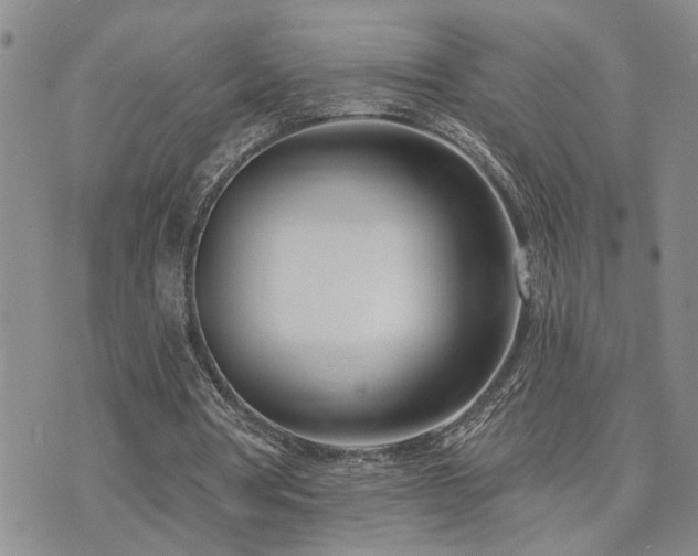 X0000073710386200608031245