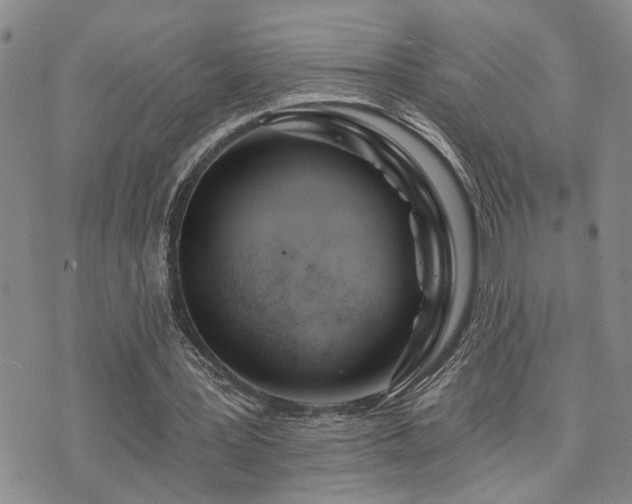 X0000073710387200608031245