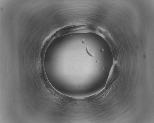 X0000073710388200608031245