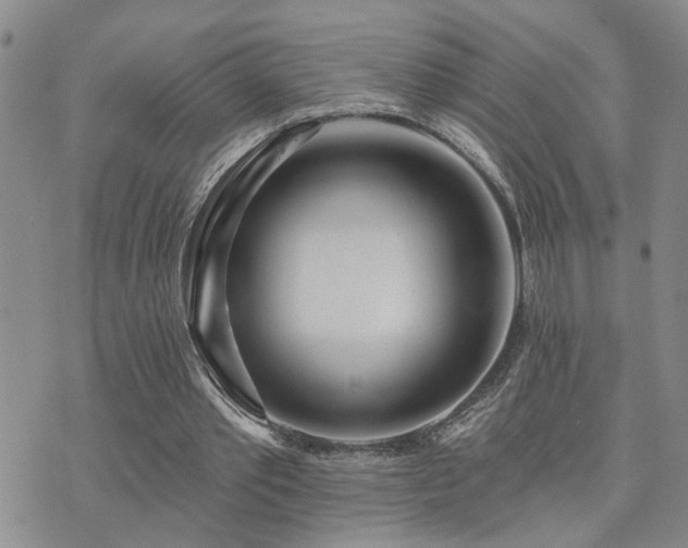 X0000073710389200608031245