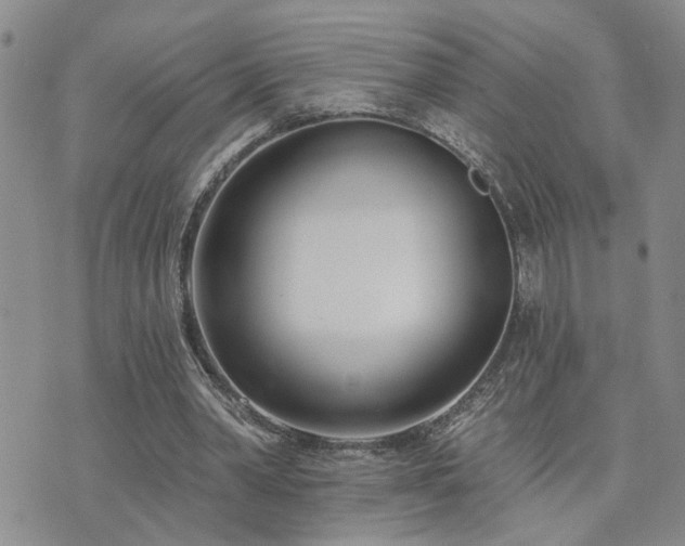 X0000073710390200608031245