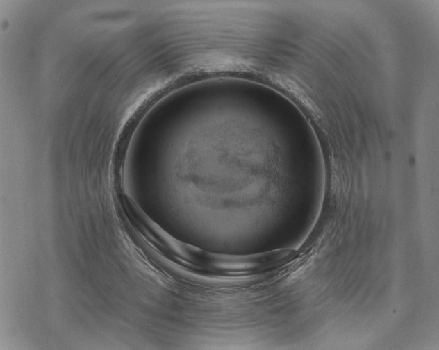 X0000073710391200608031245