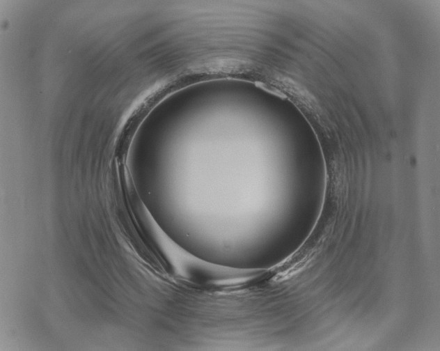 X0000073710392200608031245