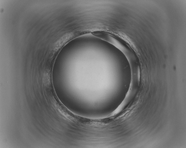 X0000073710393200608031245