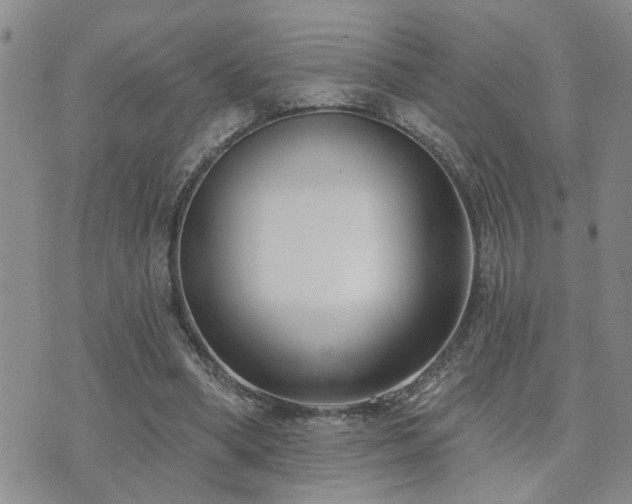 X0000073710394200608031245